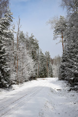 Beautiful forest road view with white snow and cloudy sky on the last days of winter.
