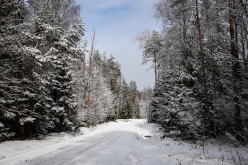 Beautiful forest road view with white snow and cloudy sky on the last days of winter.