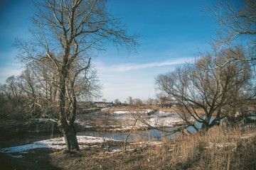 Spring river, withered grass, bare trees, remnants of snow