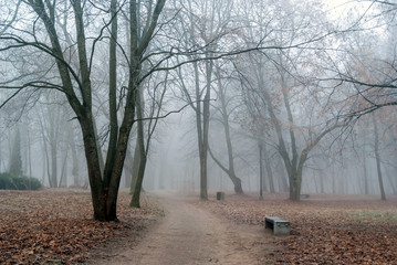 Park Lubomirskich w Dojlidach, Białystok, Podlasie
 Polska. Mgła, szron i przymrozek w Parku
Lubomirskich