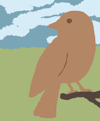bird digital painting art illustration