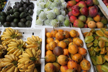 Tropical Fruits of Costa Rica