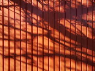 Schatten der Äste eines Baum auf einem Garagentor aus Stahl in Orange bei Sonnenschein in...