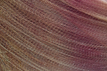 Fish nets or nets are tools used to catch fish