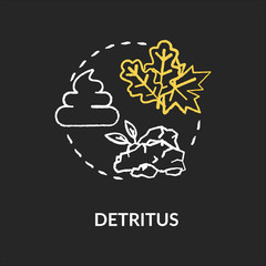 Detritus chalk RGB color concept icon. Food chain energy producer organisms. Dead plants fragments, organic material idea. Vector isolated chalkboard illustration on black background