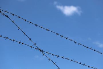 Background of barbed wire against the sky. A barbed wire crosses the blue sky with white clouds. Horizontal, free space, close-up, cropped shot. Law enforcement concept.