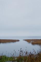 Autumn landscape with a lake in the morning fog, reeds and trees in the background