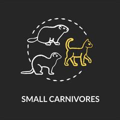 Small carnivores chalk RGB color concept icon. Wild and domestic animals. Food chain predators. Land ecosystem idea. Vector isolated chalkboard illustration on black background