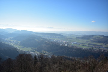 Landscape of mountains in the Alps with trees from Uetliberg Switzerland