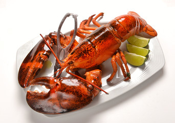 lobster on a white plate with lemon
