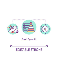 Food pyramid concept icon. Dietary nutrition. Meal groups. Healthy eating recommendation idea thin line illustration. Vector isolated outline RGB color drawing. Editable stroke
