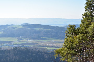 Obraz premium Landscape of mountains in the Alps with trees from Uetliberg Switzerland