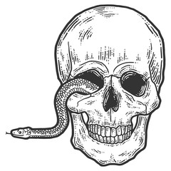 A snake crawls out of the eye of a human skull.