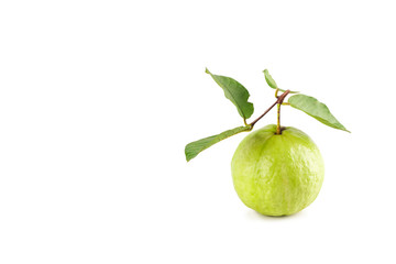 fresh guava and green guava leaf on white background fruit agriculture food isolated
