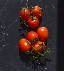 ripe red tomatoes on a green branch in water drops on a black background