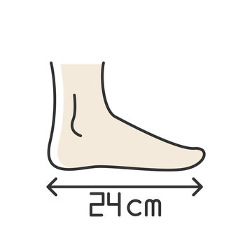 Foot length RGB color icon. Human body parameters measurement, shoemaking. Foot size from heel to toe specification for bespoke shoes. Isolated vector illustration