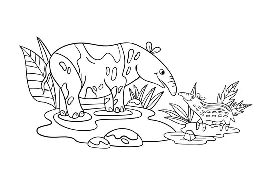 black and white tapirs in jungle scene clip art preview