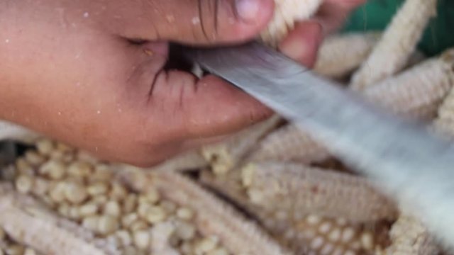 Desgranando Ma&iacute;z detalle