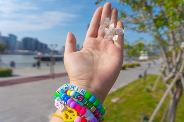 Asian girl wearing plastic bracelet in the wrist raises her hand and hold the sakura flower in her hand along the riverside with the background of cityscape in the sunny day