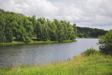 Forest in the Park by the river, Sunny summer day