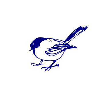 recommend clip art: Wild bird, a titmouse. Hand drawn ink icon, black and white line art doodle sketch, stock vector illustration.