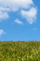 Green grass against blue sky with white clouds, Netherlands dike landscape along the Dutch coast