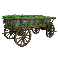 Fototapeta na wymiar Harvested cucumbers folded in metal buckets