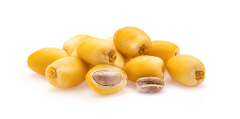 Date Palm on white background