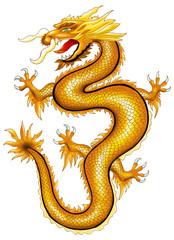 China Drache