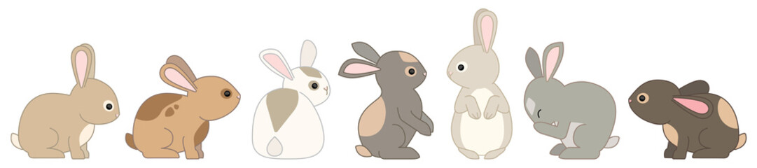 Bunny Rabbits Cartoon Illustrations