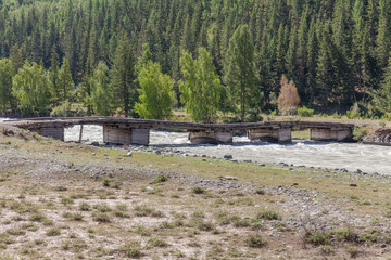Fototapeta na wymiar Altai. Old wooden bridge over the river. White mountain river in Altai. Altay Mountains, are a mountain range in Central and East Asia, where Russia, China, Mongolia, and Kazakhstan come together,