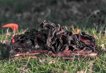 Burning book on fire flames. Pages that burn on the grass