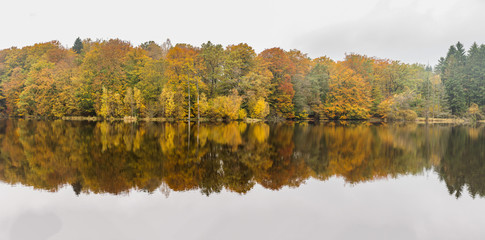 Autumnal lake shore with forest under sky. Trees on rock coast of rippling lake in autumn sunny day. Beautiful panoramic landscape with yellow trees on big stones and lake.