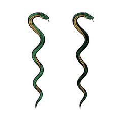 Two twisted snakes. Colorful vector illustration in engraving technique. isolated on white background.