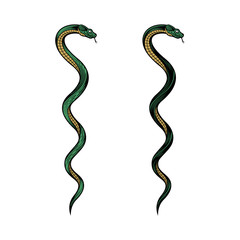Fototapeta premium Two twisted snakes. Colorful vector illustration in engraving technique. isolated on white background.
