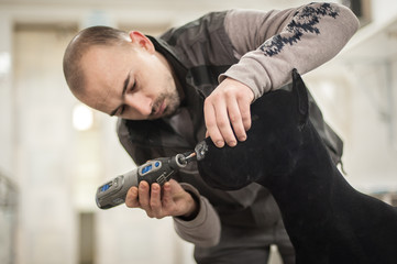 Fototapete bei efototapeten.de bestellen   