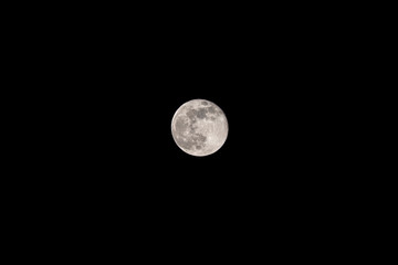 Fototapeta premium Night view of a super moon