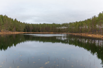 Lake, calm water, forest reflection in the water, cloudsAutumn landscape. Sweden.