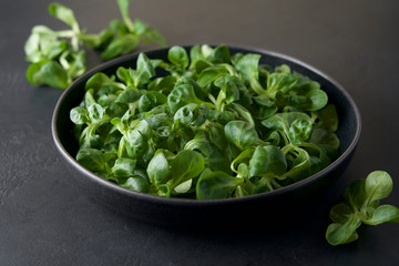 Corn salad leaves or lamb's lettuce in bowl on black background. Valerianella locusta Fresh green salad. Food background