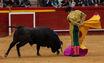 TORERO DANDO PASE 