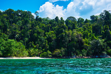 Landscape of the line of the rainforest, from the ocean. Tropical island in Indian Ocean. Uninhabited and wild subtropical isle with palm trees. Blank sand on a tropical island.