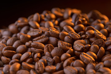 coffee beans on a dark background