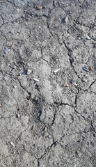 Land. Cracked soil. Soil closeup