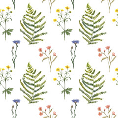 Cute wildflower seamless pattern. Watercolor flowers, forest meadow plants on white background. Summer field. Shabby chic country style print. Hand drawn design texture