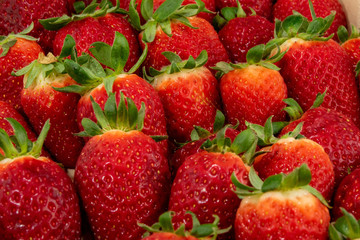 strawberry fruit close up shoot