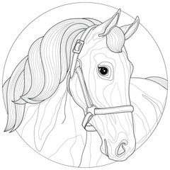 A beautiful horse.Coloring book antistress for children and adults. Zen-tangle style.Black and white drawing