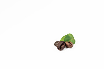 Three shiny freshly roasted coffee beans with leaves on a white background. Isolated. Selective focus.