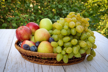 grapes in the basket
