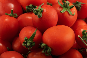 Cherry tomatos  close up shoot