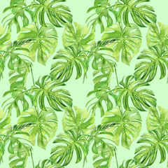 Modèle sans couture d& 39 illustration aquarelle de monstera de feuilles tropicales. Parfait comme texture d& 39 arrière-plan, papier d& 39 emballage, design textile ou papier peint. Dessiné à la main